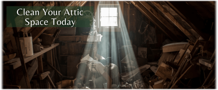 Attic Cleaning Little Elm TX